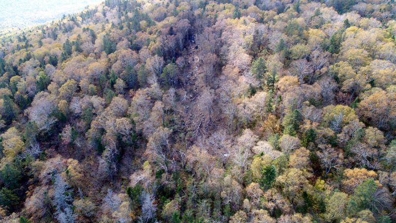 На месте крушения самолета Ан-26