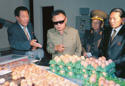 На куроводческой фабрике. Август 2010 г.