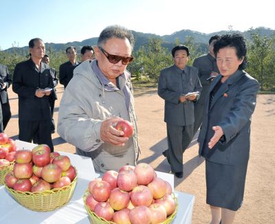 В плодоводческом хозяйстве. Октябрь 2011 г.