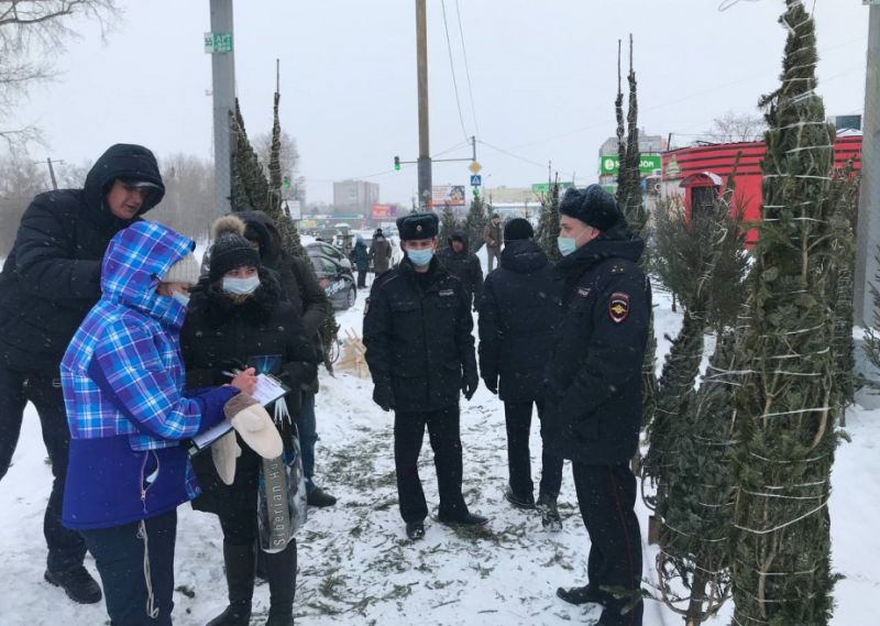 В Хабаровске за нелегальную торговлю новогодними елками нарушителям выпишут штраф