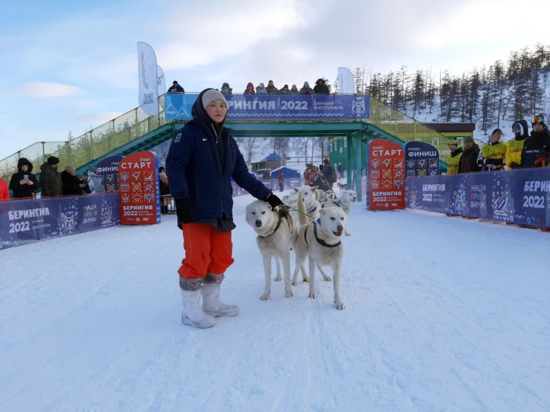 Традиционная гонка на собачьих упряжках «Берингия» стартовала сегодня на Камчатке