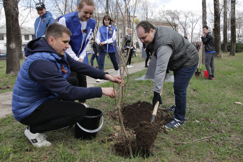 «Сад памяти» появился в сквере им. Бумагина в Биробиджане