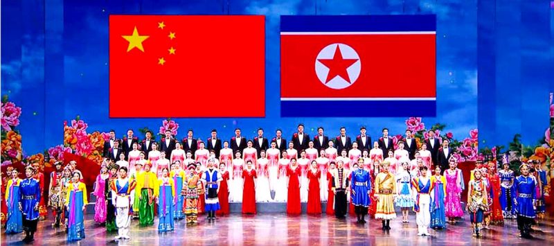 На этом фестивале представлены видеозаписи концертов художественных коллективов и артистов разных стран мира, присланные по Интернету. В нем участвовали художественные коллективы, танцевальные ансамбли и цирковые труппы десятков стран, состоящие из известных лауреатов международных или других конкурсов и авторитетных звезд сцены, а также художественные коллективы зарубежных соотечественников.