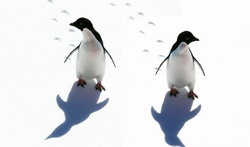 Нажмите, чтобы увеличить