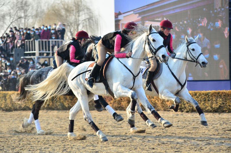 В Миримском конноспортивном комплексе проходили соревнования по верховой езде по случаю Международного дня женщин - 8 марта 2022 года.