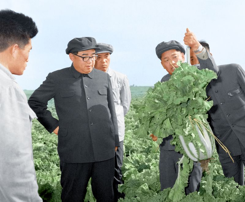 В Чанчхонском сельхозкооперативе Садонского района. Октябрь 58 года чучхе