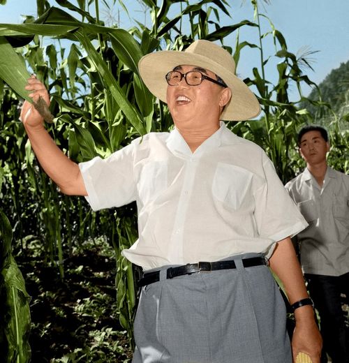 В Пхёнвонском сельхозкооперативе уезда Синян. Август 63 года чучхе (1974).