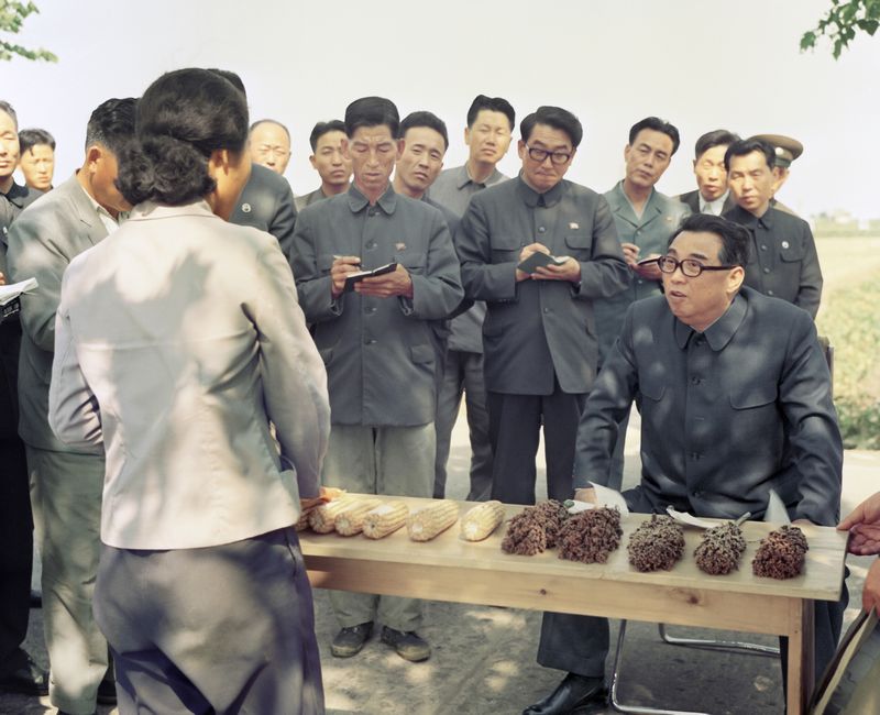 В Самчжиганском сельхозкооперативе уезда Чэрён. Сентябрь 65 года чучхе (1976).