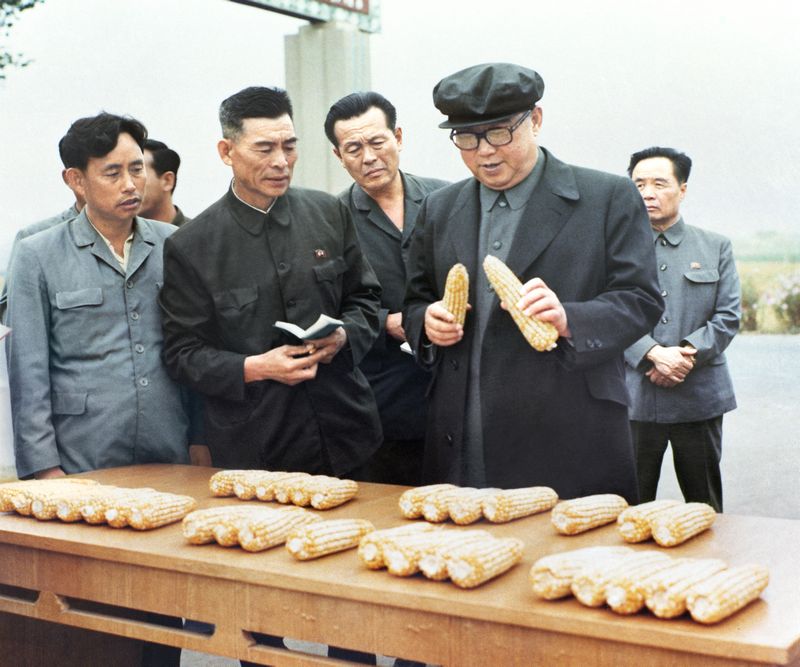 В Рёнчхонском сельхозкооперативе уезда Хванчжу. Сентябрь 68 года чучхе (1979).