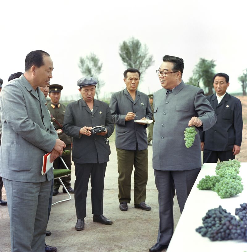 В Саривонском плодоводческом хозяйстве. Сентябрь 68 года чучхе (1979).