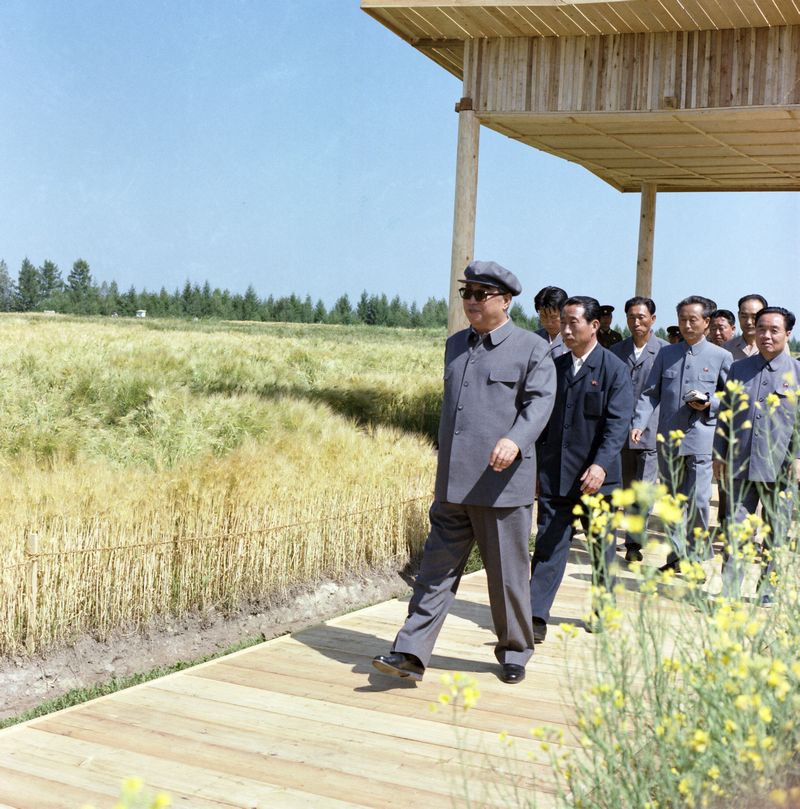 В Потхэском объединенном госхозе. Август 69 года чучхе (1980).