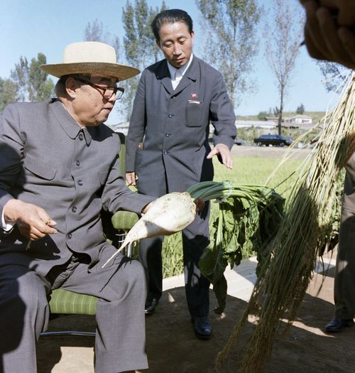В Чхонсанском сельхозкооперативе города Нампхо. Сентябрь 69 года чучхе (1980).