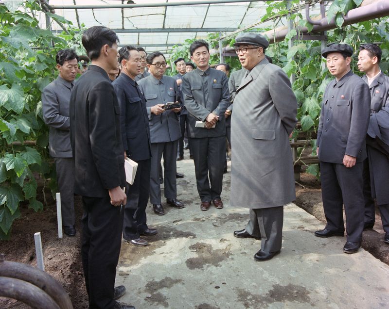 В овощной теплице Сонбонского уездного объединенного госхоза. Май 70 года чучхе (1981).