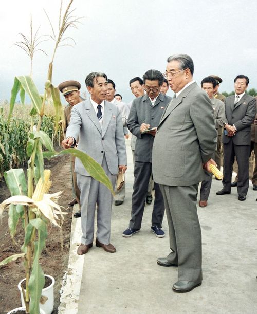 На опытной станции Академии сельскохозяйственных наук. С ентябрь 75 года
чучхе (1986).