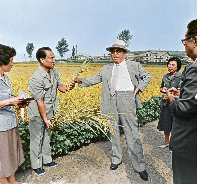 В Чхонсанском сельхозкооперативе Кансоского района. Сентябрь 76 года чучхе (1987).