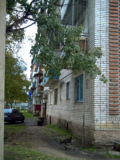 Биробиджан. ул. Бумагина 6-а, дом-малосемейка, где жила Саша