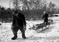 Аборигены третьего тысячелетия (нажмите, чтобы увеличить)