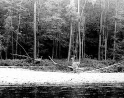 Раннее утро (нажмите, чтобы увеличить)