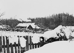 Таежная околица (нажмите, чтобы увеличить)