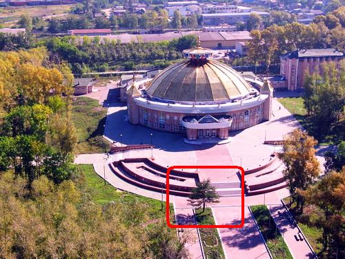 Говорят, это дерево – Гагарина/ Цирк. г. Хабаровск/ Нажмите, чтобы УВЕЛИЧИТЬ (нажмите, чтобы увеличить)