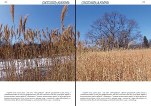 Нажмите, чтобы увеличить