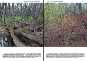 Нажмите, чтобы увеличить