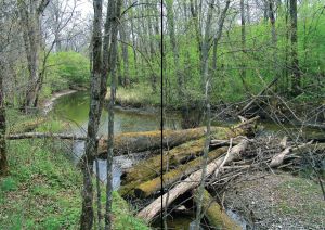 Нажмите, чтобы увеличить