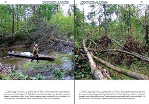 Нажмите, чтобы увеличить