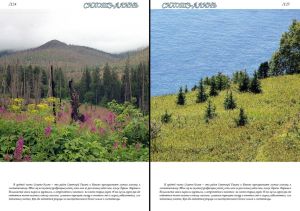 Нажмите, чтобы увеличить