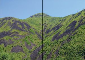 Нажмите, чтобы увеличить