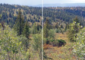 Нажмите, чтобы увеличить