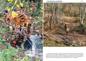 Нажмите, чтобы увеличить