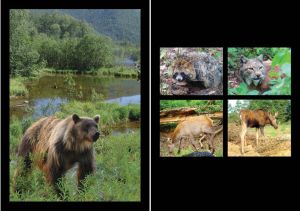 Нажмите, чтобы увеличить