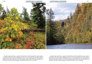 Нажмите, чтобы увеличить