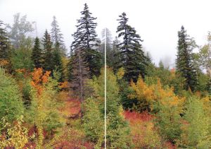 Нажмите, чтобы увеличить