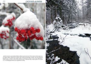 Нажмите, чтобы увеличить