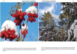 Нажмите, чтобы увеличить