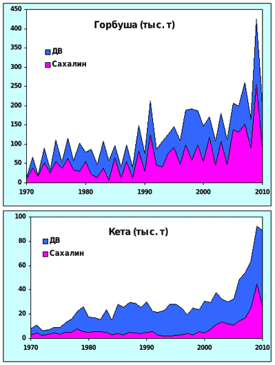 Рис. Вклад Сахалинской области в дальневосточный вылов горбуши и кеты
