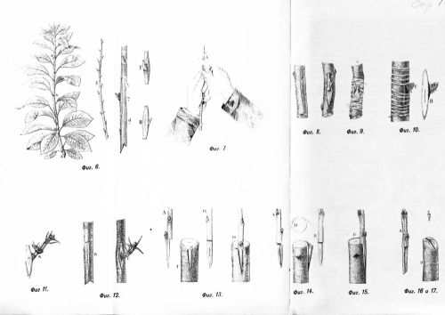 Рис.1. Нажмите, чтобы УВЕЛИЧИТЬ (нажмите, чтобы увеличить)