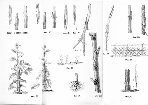 Рис.2. Нажмите, чтобы УВЕЛИЧИТЬ (нажмите, чтобы увеличить)