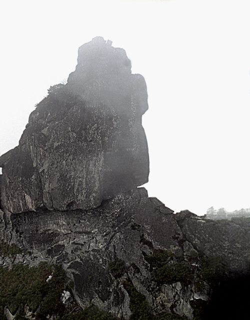 Зуб нижнетамбовского шамана