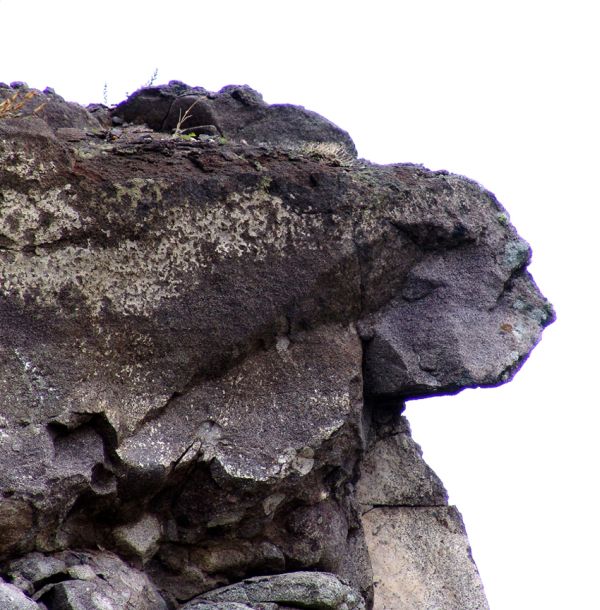 Мыс Лазарева - медведь