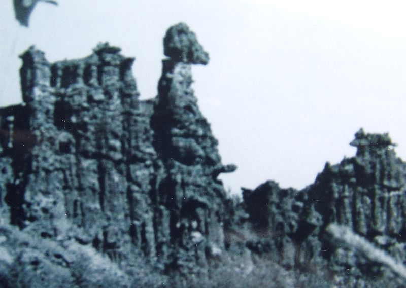 Медведь или крокодил с фаллическим символом в тайге Хабаровского края?