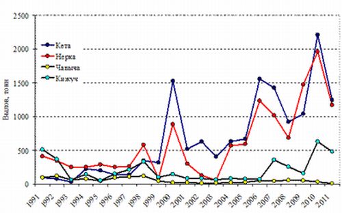 Рис. 1. Динамика вылова тихоокеанских лососей речными и морскими орудиями лова, прилегающими к устью р. Большая в период 1991-2010 гг.