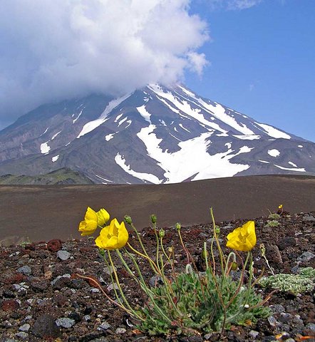 Камчатка. Фото Елизаветы Левиной, г. Москва