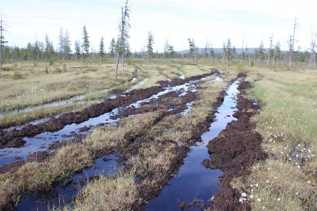 Дорога на Омолон