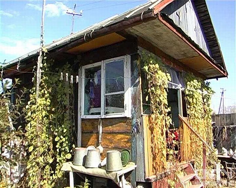 Дача тети Любы./ 柳博芙大妈的小木屋