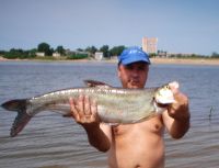 Нажмите, чтобы увеличить