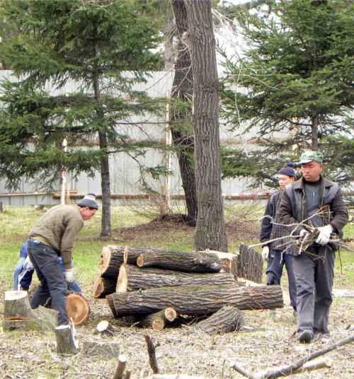 Центр города – когда-то зеленый, тенистый, уютный, сегодня нещадно изрубленный топорами, оголенный, окаменелый – это наш центр! Нашего города! 