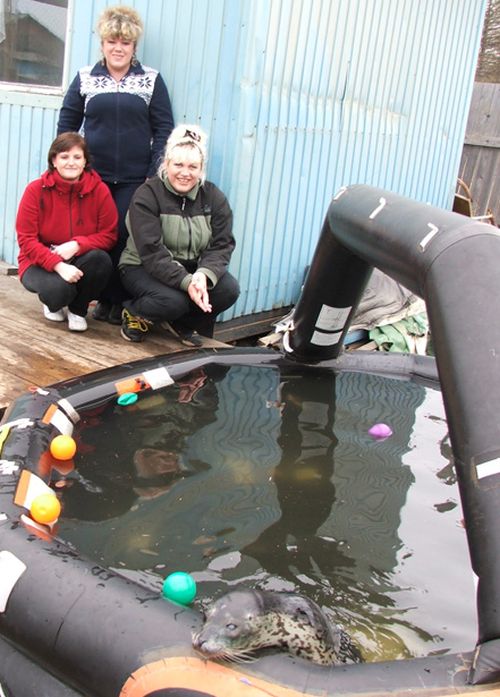 Даттинская ОПГ ведет себя настолько дерзко что лидер группировки по кличке Буся даже не пытается скрыться от объективов фотокамер